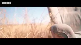 Manian Feat  Maury   Cinderella Official Video)