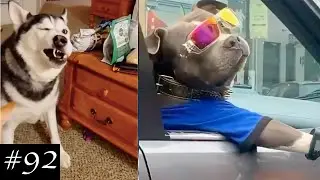 Happiest And Funniest Moments With Dogs 🐶 | Dogs Thug Life