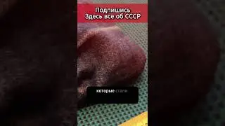 Как зарождались портсигары #назадвссср #история #ссср #рекомендации #ностальгия #обзор