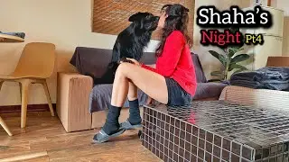 Shaha’s Night Routine 🐾 | A Real Day Part 4