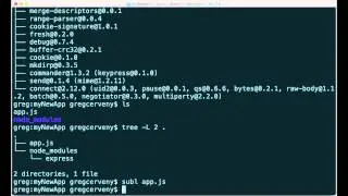 How to Install Node.js Packages with npm