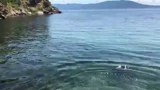 Erdal ADGU - Marmara Adası