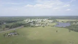 Oak Hill Farms / The Rock, Georgia: Serene Southern Wedding Venue