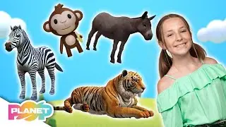 Animals All Around Song | ESL Songs | English For Kids | Planet Pop | Learn English