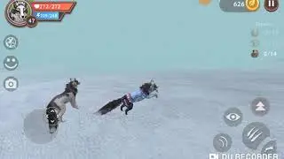 Top 3 bugów na Wild craft