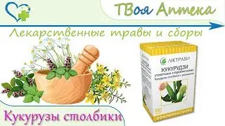 Кукурузы столбики с рыльцами показания, описание, отзывы (Мочекаменная болезнь, Холецистит, Цистит)