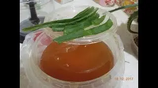 Aloe + Honey. Recipe for a remedy for illnesses.