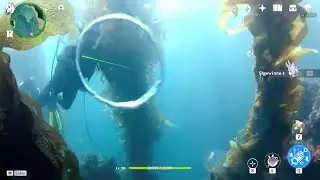Sigewinnes's Burst IRL