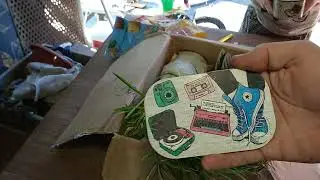 📦Посылка с канала 🌺Жизнь с цветами и без🌺 