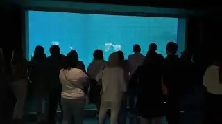 Дельфины в Москвариуме