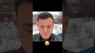 Лучшие приколы недели