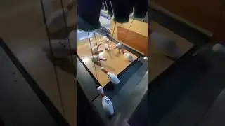 Как устроен кегельбан.
