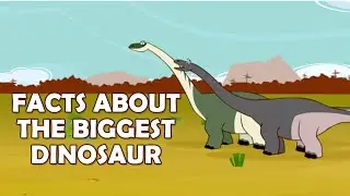 I'm a Dinosaur - Learn About Superasaurus | Animal Cartoons For Kids | Kids Shows Club