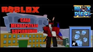 CARA MENDAPATKAN FIGHTING STYLE SUPERHUMAN-BLOX FRUIT-ROBLOX