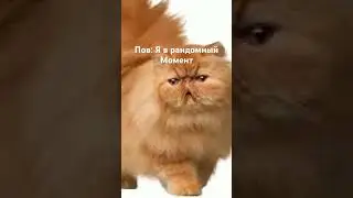 Эх бляяяять