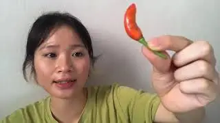 Review quả ớt