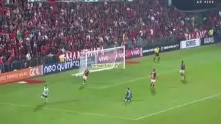 Flamengo 1 x 1 Palmeiras - GOL DE WILIAN
