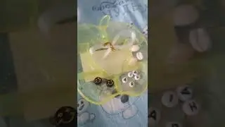 14 мая 2023 г.