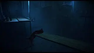 Playing Stray  - 4