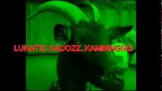 LUNATIC KADOZZ ..KAMBINGGG