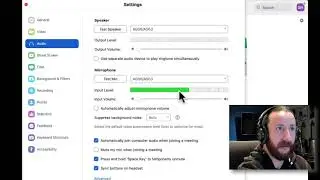 Zoom - Test Mic Input Levels