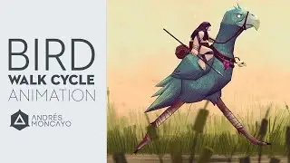 Bird Cycle Animation (+Slow mode)