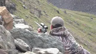 Chip Shot, But The Rifle Is Knocked Out Of Zero