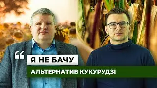Я не бачу альтернатив кукурудзі. Соняшником все не засієш - Сергій Тимошенко | Latifundist