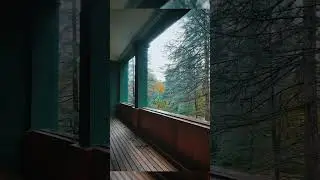 ДАЧА СТАЛИНА: СОЧИ 