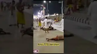 Angapradhashina#tirumaladarshan #shortsvideo#shortvideoviral#anuttddarshan#ttdlatestupdates