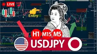 🔴 Live USDJPY Signals free 5m / 15m / 60 Minute Forex Trading Analysis & Prediction 라이브 트레이딩 차트방송