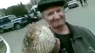 Дед Бом Бом 