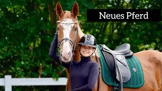 Stallvlog | unsere aktuellen Pferde | Pläne und Ziele | Team Inleobo