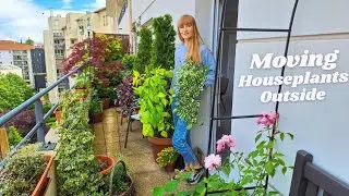 Moving Houseplants Outside For Summer | 5 Important Tips 🪴