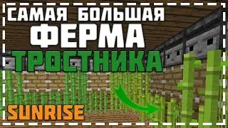 САМАЯ БОЛЬШАЯ ФЕРМА ТРОСТНИКА | ЛУЧШАЯ ФЕРМА НА СЕРВЕРЕ БЛОГМАНА | SUNRISE