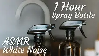 ASMR|No Talking•1 Hour Spray Bottle | White Noise for Relaxing，Sleeping，Studying