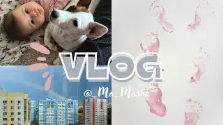 VLOG // Потеряли собаку // Делаю картину ножек дочери // Стройка