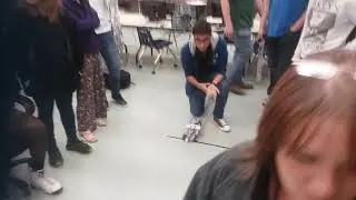 Robot class