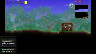 Streaming: Terraria and Karma is a bitch twice