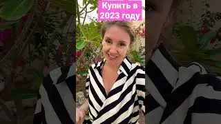 Обязательно купите в 2023 году