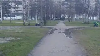 Йорики