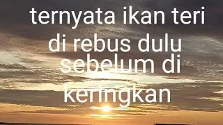 Ternyata begini cara merebus ikan teri