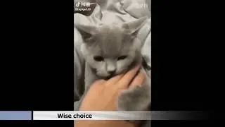 Best gifs compilation #26