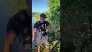 Прикормка на сома нет в интернете