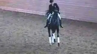 Vera Minaeva Gepard Вера Минаева Гепард Dressage Sport Hors
