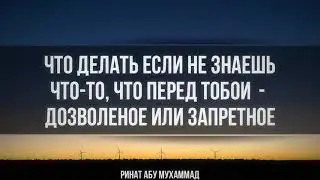 589. О дозволенном и запретном