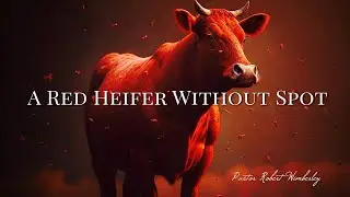 A Red Heifer Without Spot | Pastor Robert Wimberley
