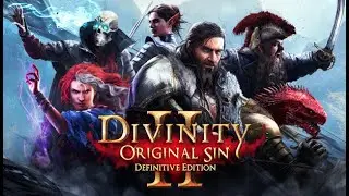 Divinity Oiringal Sin 2 Part 11