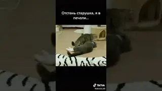 Я прошу тебя успокойся