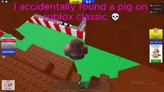 the first person to find a pig in roblox classic 💀